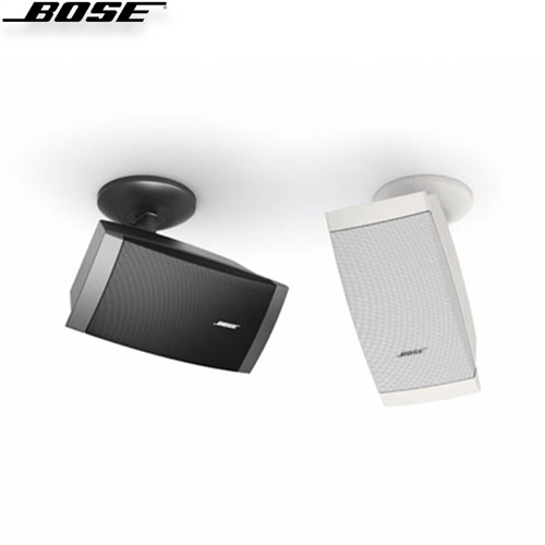 Loa Bose FreeSpace DS 40SE 2